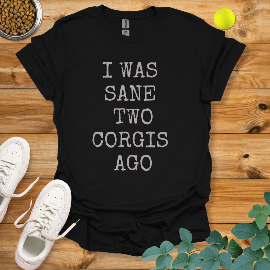 I Was Sane Two Corgis Ago T-Shirt Black / S