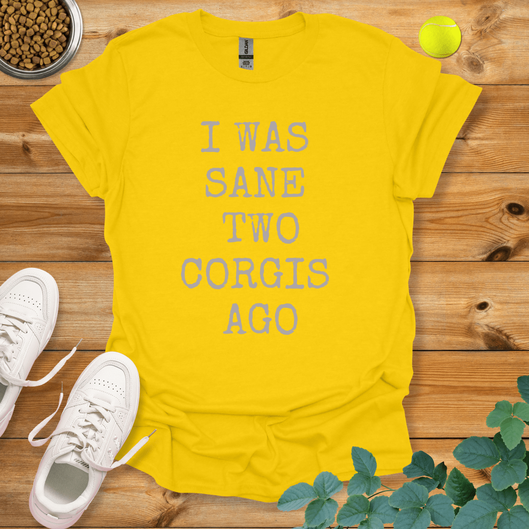 I Was Sane Two Corgis Ago T-Shirt Daisy / S